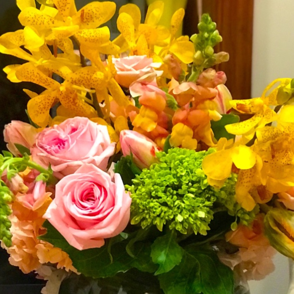 Meet your Posher, Cathy